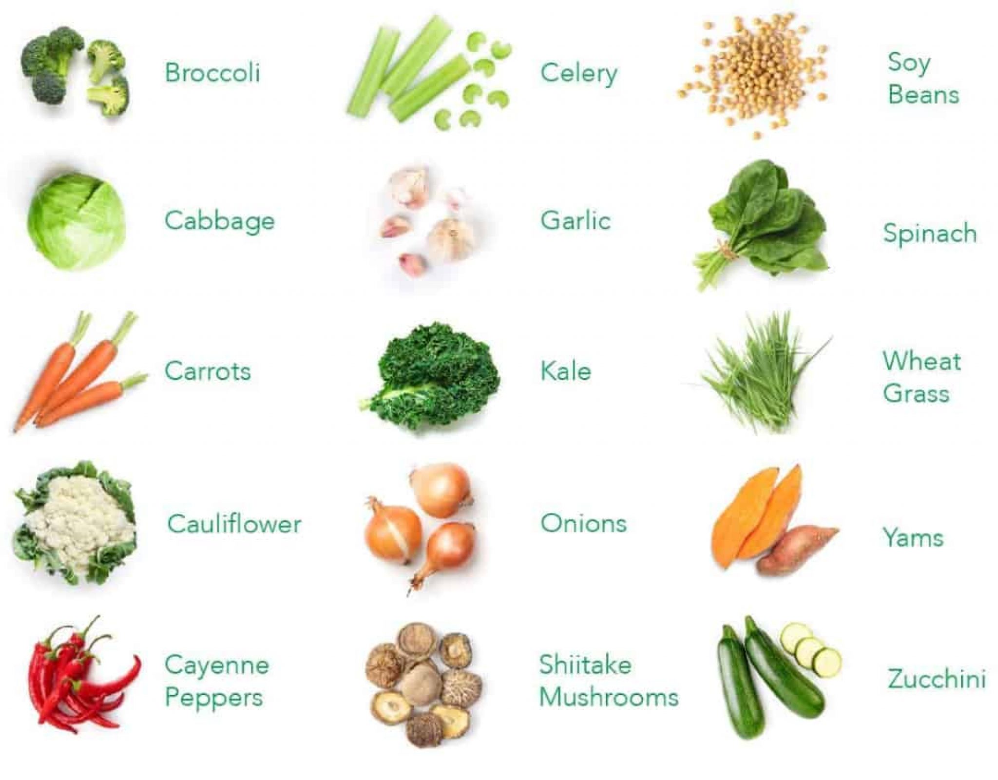 Balance-of-Nature-Ingredients-Veggie-204