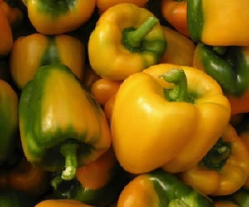 Yellow Bell Pepper 