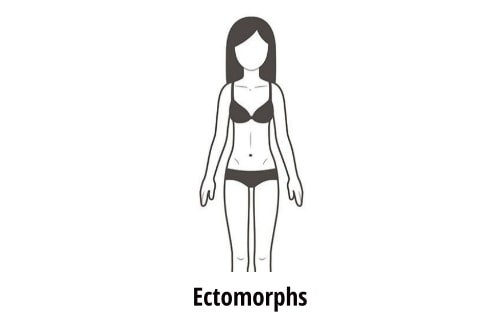 Ectomorphs