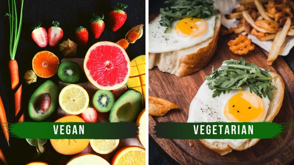 difference between Vegetarian and Veganism