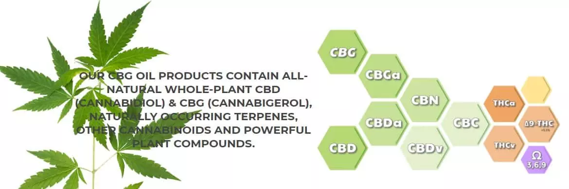 CBG Oil