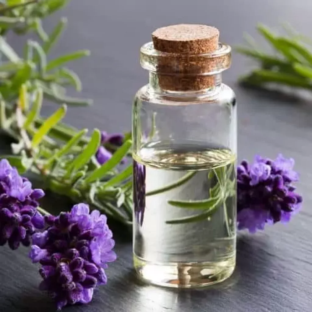 Lavender Oil