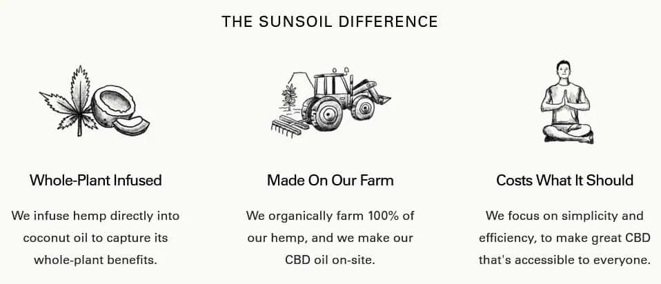 Sunsoil CBD Oil Review