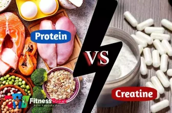 Protein Vs Creatine