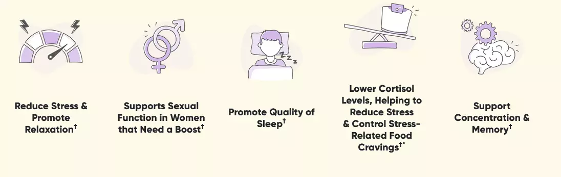 Benefits of Goli Calm Bites