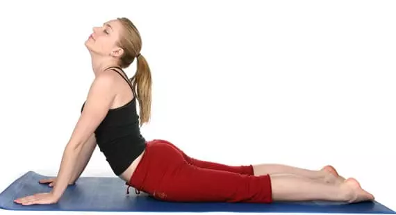 Bhujangasana or The Cobra Pose