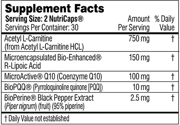 Ingredients of Performance Lab Energy Review