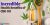 12 Incredible Health Benefits of CBD Oil 2023: An Overview