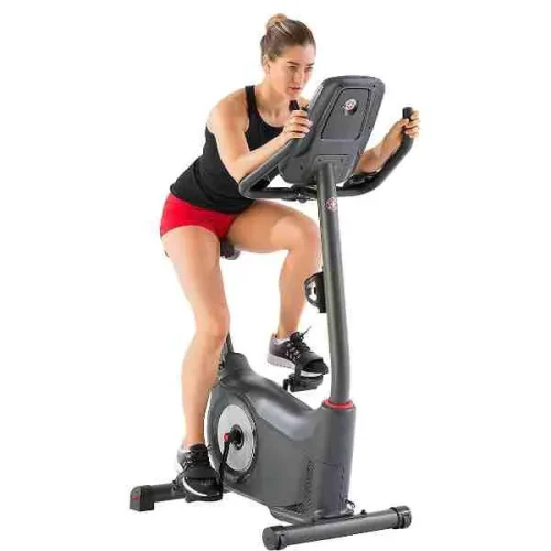 Schwinn 170 Upright Bike