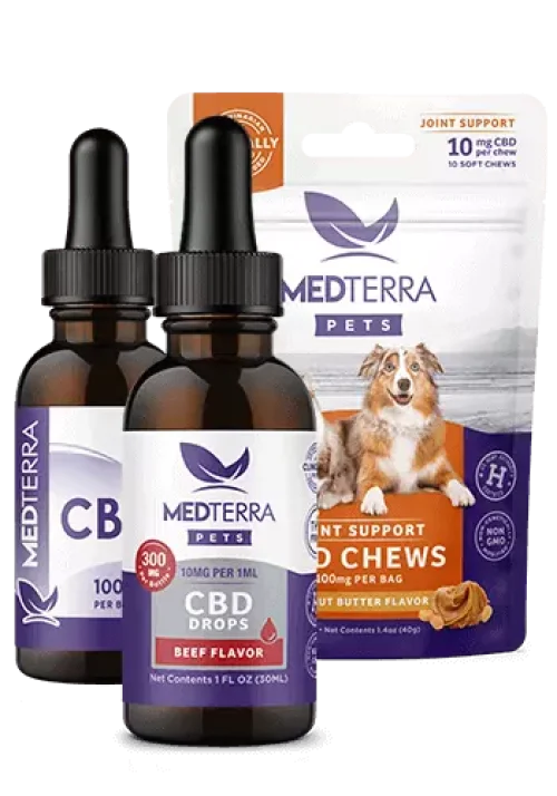 Medterra CBD For Pets